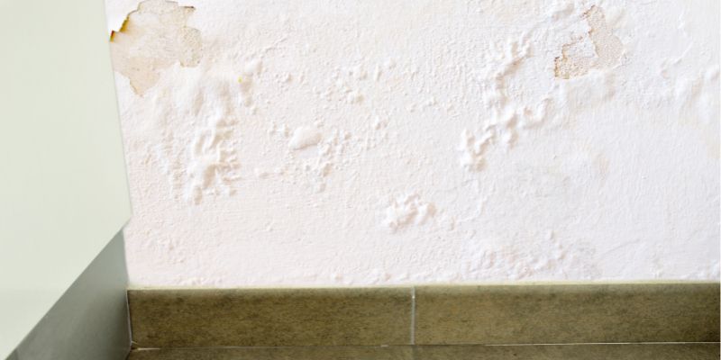 Como Detectar Vazamento de Água Dentro da Parede em Macaé: Confira 5 Dicas vazamaneto de água dentro da parede